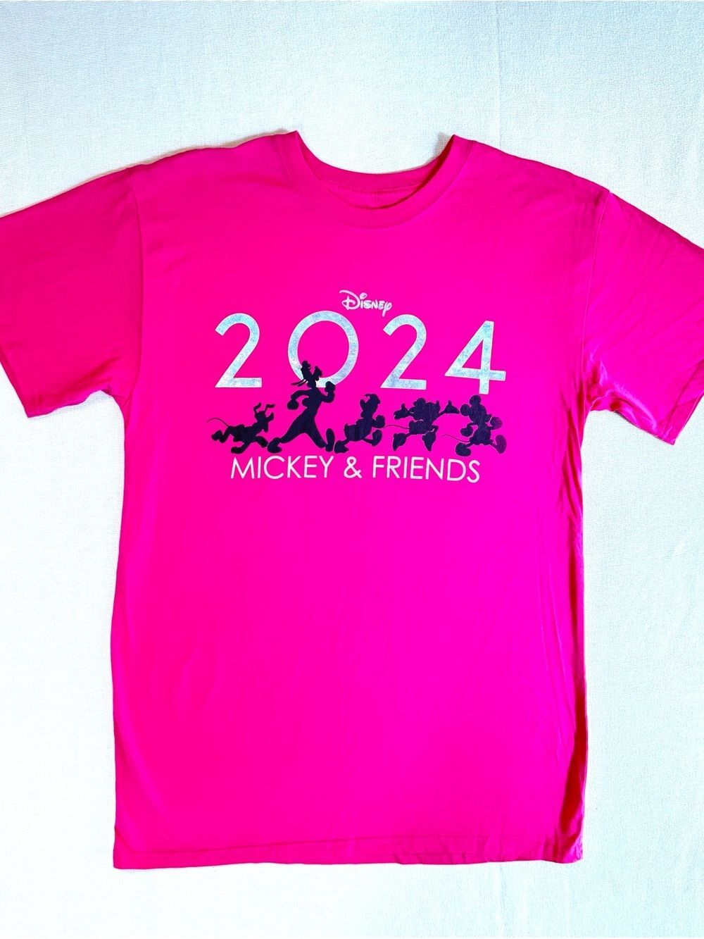 Mickey & Friends 2024 Women’s  T Shirt
